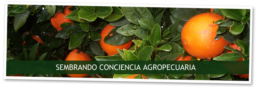 Educampo - Sembrando conciencia agropecuaria