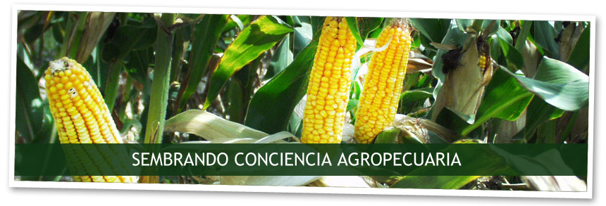 Educampo - Sembrando conciencia agropecuaria