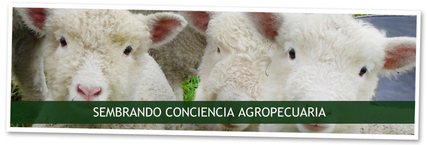 Educampo - Sembrando conciencia agropecuaria