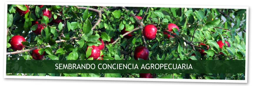 Educampo - Sembrando conciencia agropecuaria